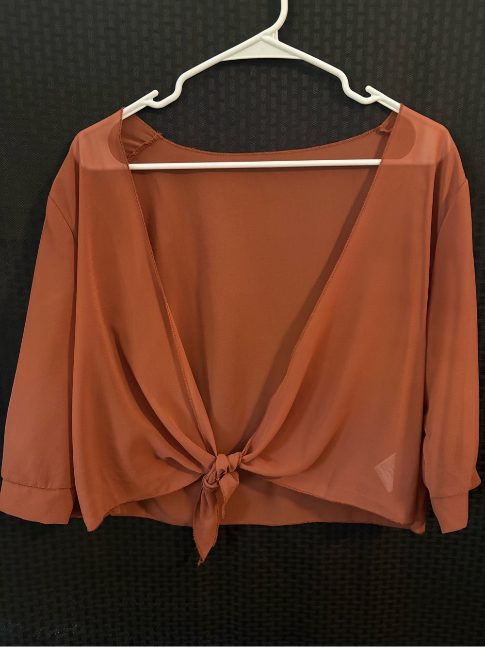 Tie-Front V-Neck Blouse in Rust
